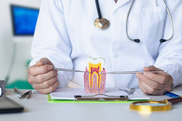 Best Root Canal Emergency Dentist  in Montpelier, VT